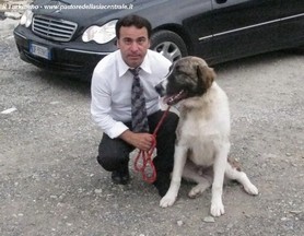 Zar in famiglia